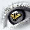 ivadzo's Avatar