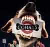 Coba15's Avatar