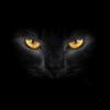 Batman77's Avatar