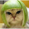 kimilutka's Avatar