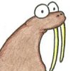 greywalrus's Avatar