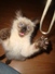 leoy08's Profile Picture